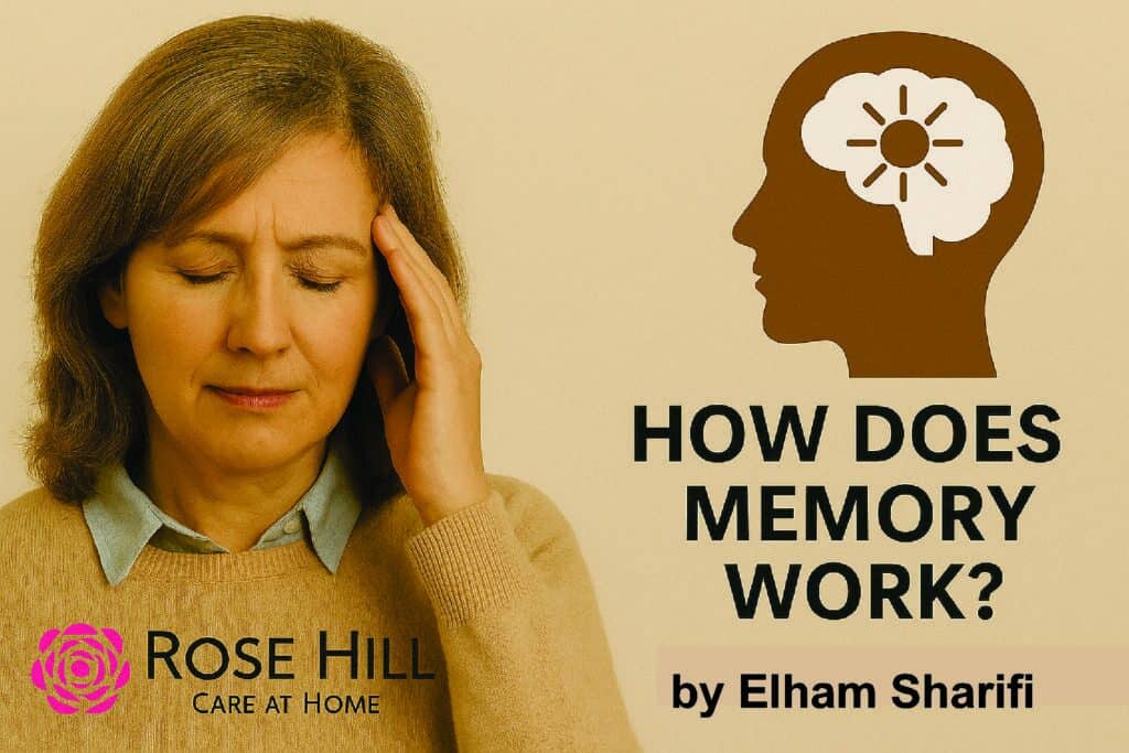 Learn how memory works and why understanding the brain helps caregivers support aging loved ones more effectively. A practical guide for dementia care and memory support.